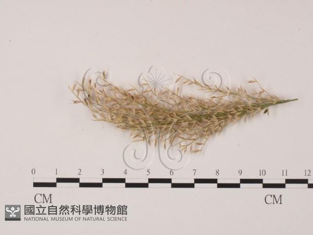 登錄號:F0022622藏品圖，第3張