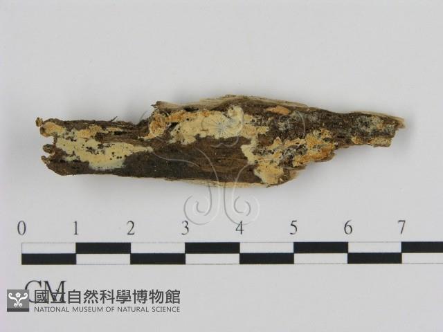 登錄號:F0003622藏品圖，第3張