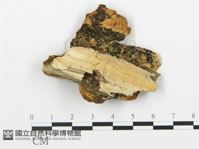登錄號:F0006422藏品圖，第3張