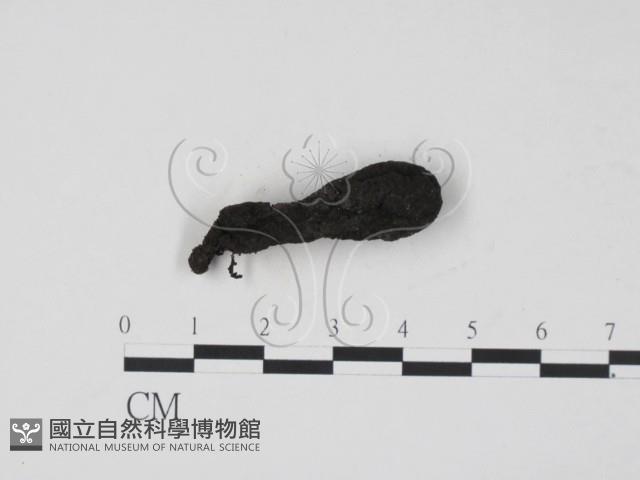 登錄號:F0021422藏品圖，第3張
