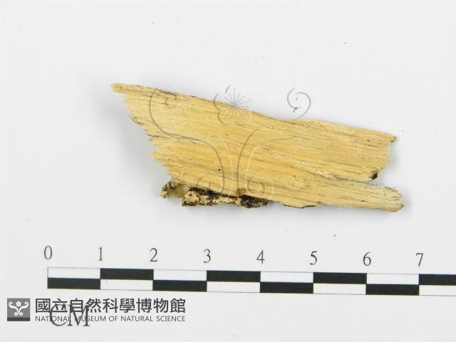登錄號:F0009422藏品圖，第3張