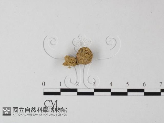 登錄號:F0001722藏品圖，第3張