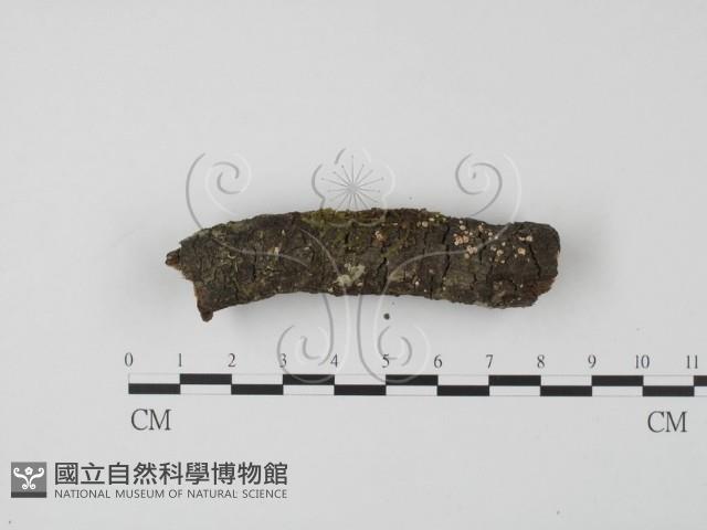 登錄號:F0015722藏品圖，第3張