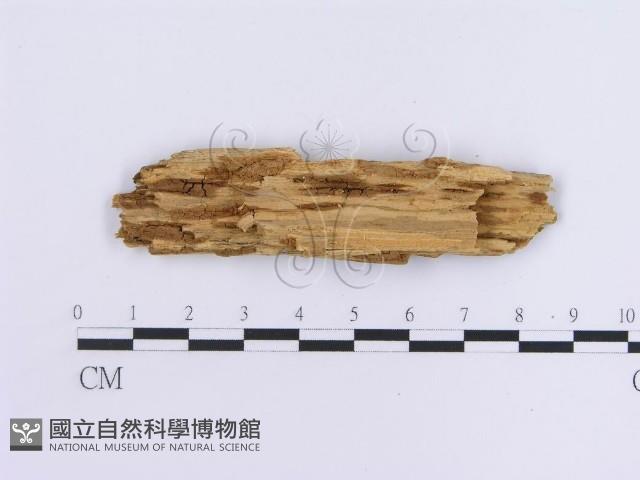 登錄號:F0013722藏品圖，第3張
