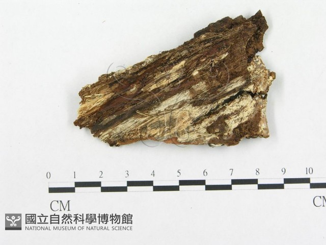 登錄號:F0009522藏品圖，第3張