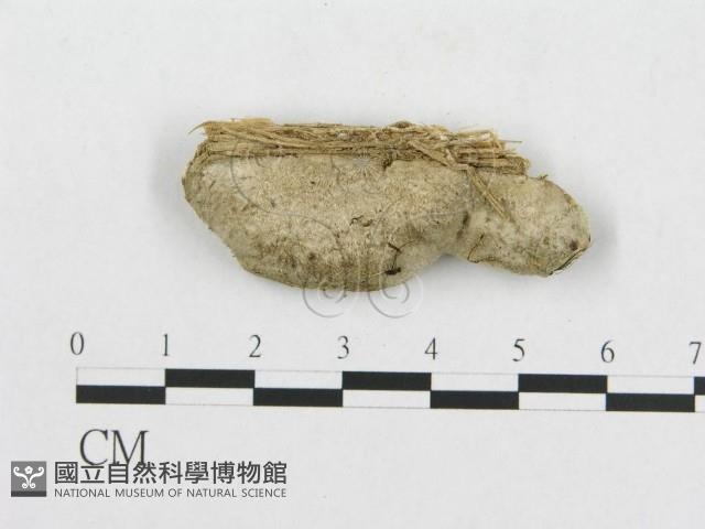 登錄號:F0008122藏品圖，第3張