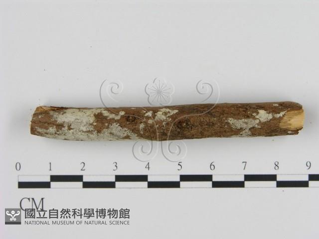 登錄號:F0000122藏品圖，第3張