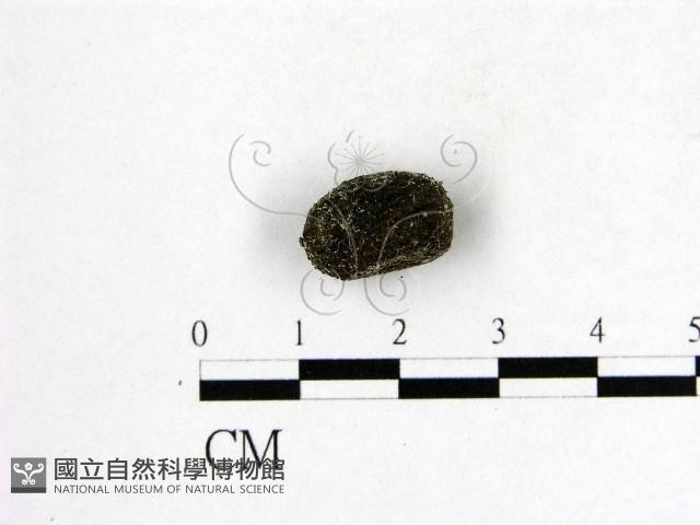 登錄號:F0001122藏品圖，第3張