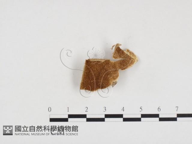 登錄號:F0024122藏品圖，第3張