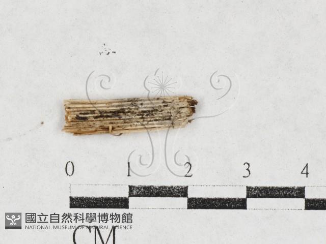 登錄號:F0027122藏品圖，第3張