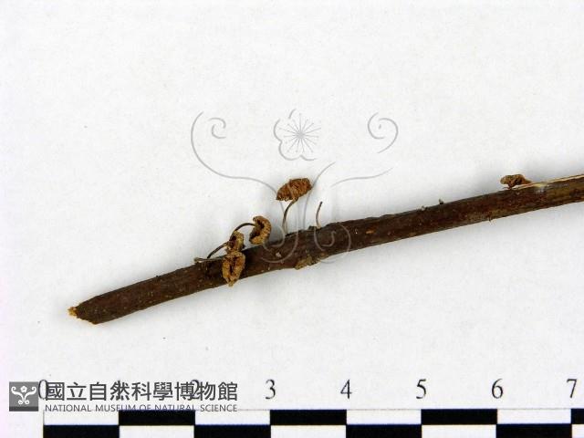 登錄號:F0013122藏品圖，第3張