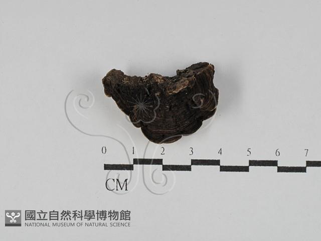 登錄號:F0025022藏品圖，第3張