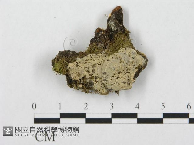 登錄號:F0005022藏品圖，第1張