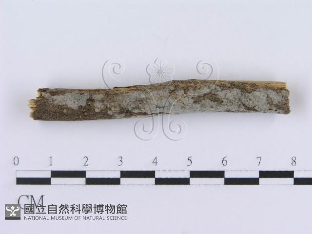 登錄號:F0015022藏品圖，第3張