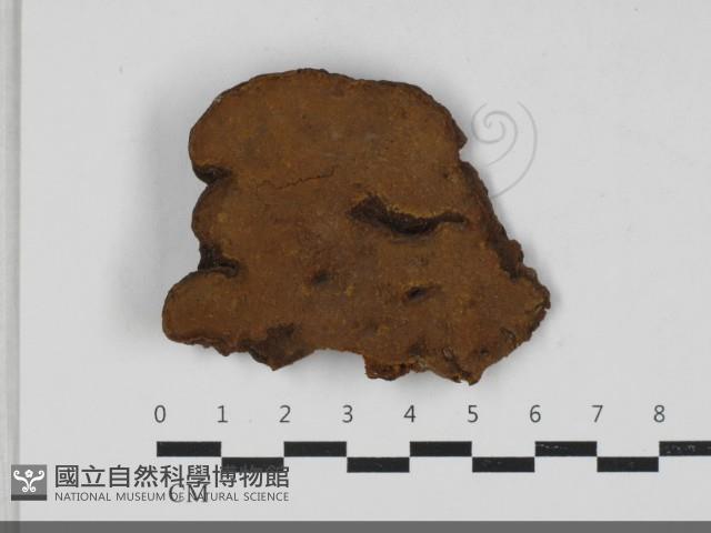 登錄號:F0033322藏品圖，第3張