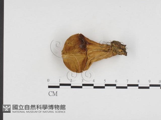 登錄號:F0024202藏品圖，第3張