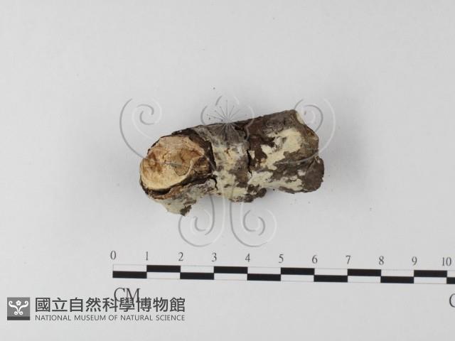 登錄號:F0022202藏品圖，第3張