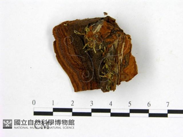 登錄號:F0007202藏品圖，第3張