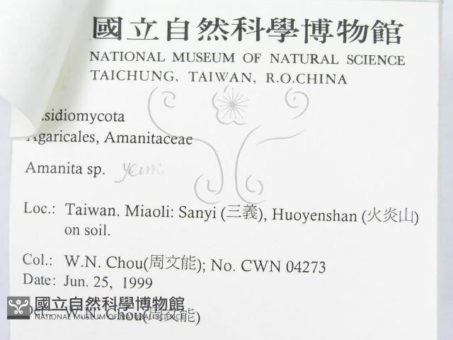 登錄號:F0013202藏品圖，第4張