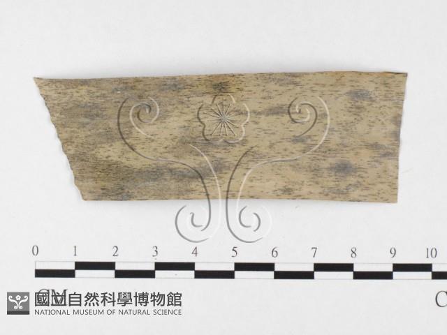 登錄號:F0026802藏品圖，第3張