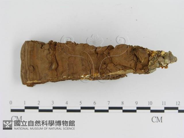 登錄號:F0005802藏品圖，第3張