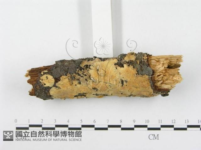 登錄號:F0000902藏品圖，第3張
