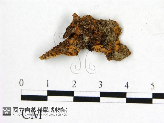 登錄號:F0019902藏品圖，第3張