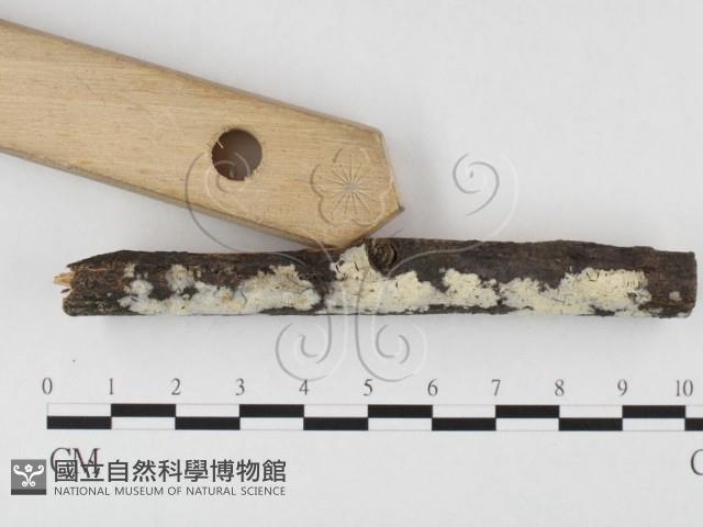 登錄號:F0026602藏品圖，第3張