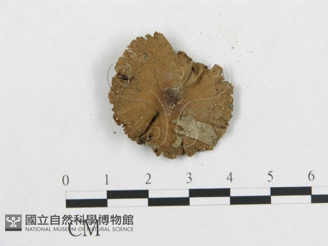 登錄號:F0014602藏品圖，第3張