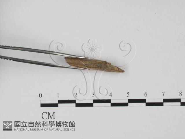 登錄號:F0002602藏品圖，第3張