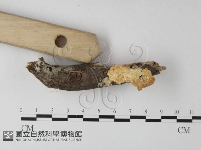 登錄號:F0025402藏品圖，第3張