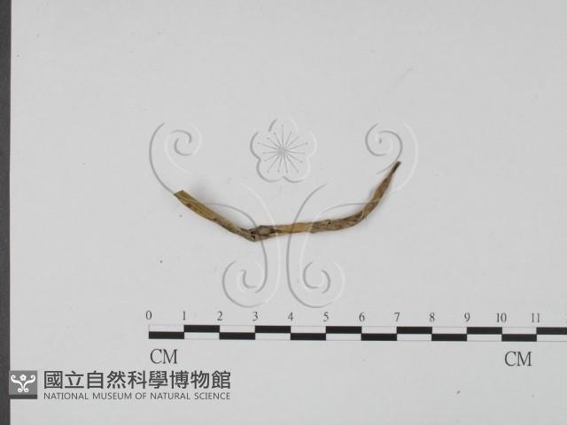 登錄號:F0009402藏品圖，第3張