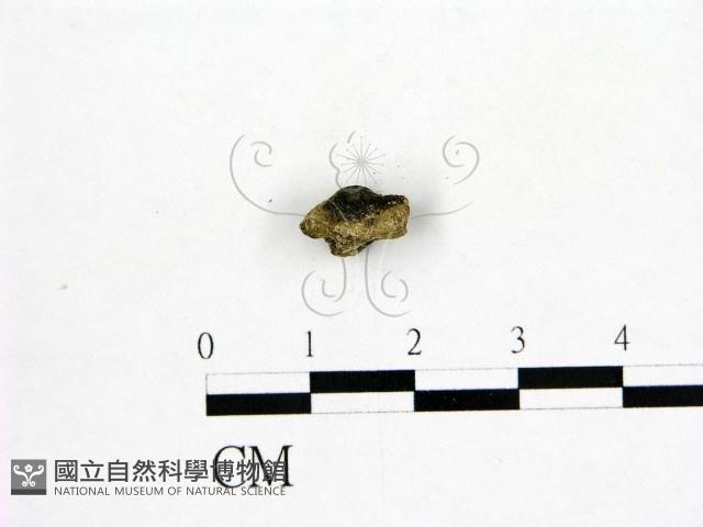 登錄號:F0000702藏品圖，第3張
