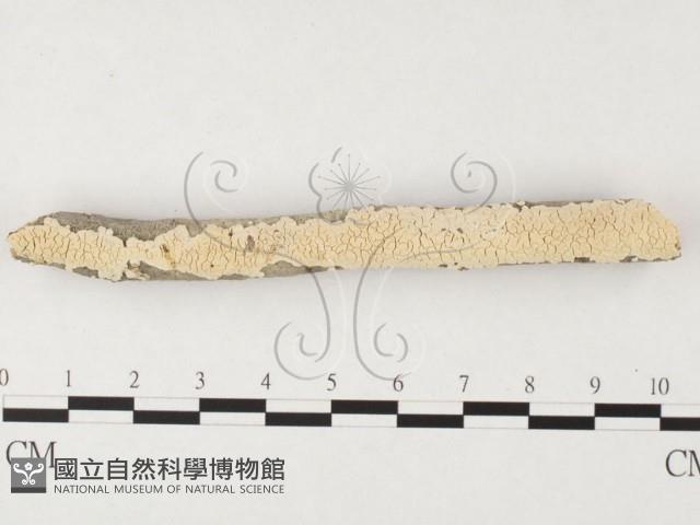 登錄號:F0026702藏品圖，第3張