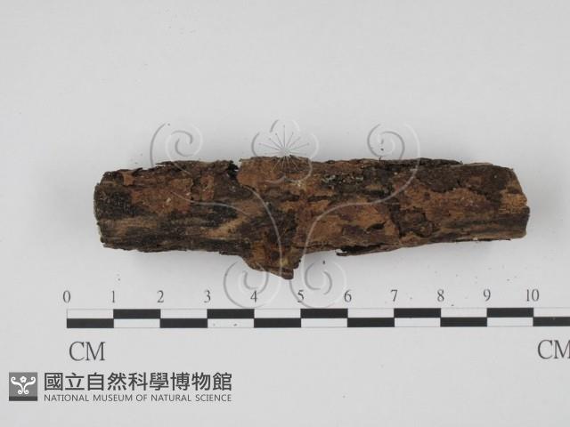 登錄號:F0005702藏品圖，第3張