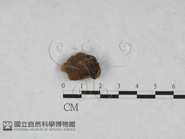 登錄號:F0028502藏品圖，第3張