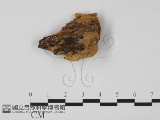 登錄號:F0016502藏品圖，第3張