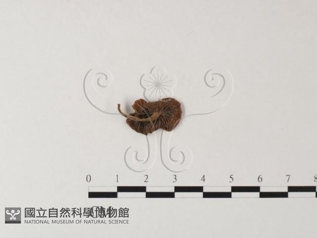 登錄號:F0023502藏品圖，第3張