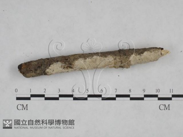 登錄號:F0025102藏品圖，第3張