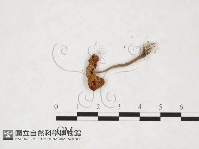 登錄號:F0026002藏品圖，第3張