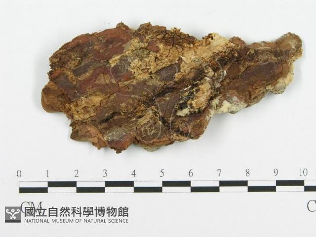 登錄號:F0014002藏品圖，第3張