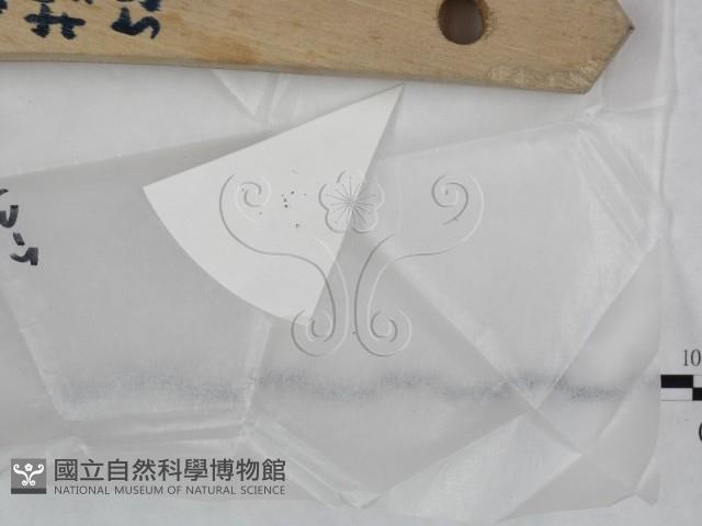 登錄號:F0022002藏品圖，第3張