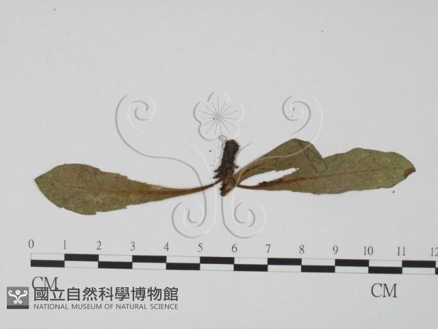 登錄號:F0019302藏品圖，第3張