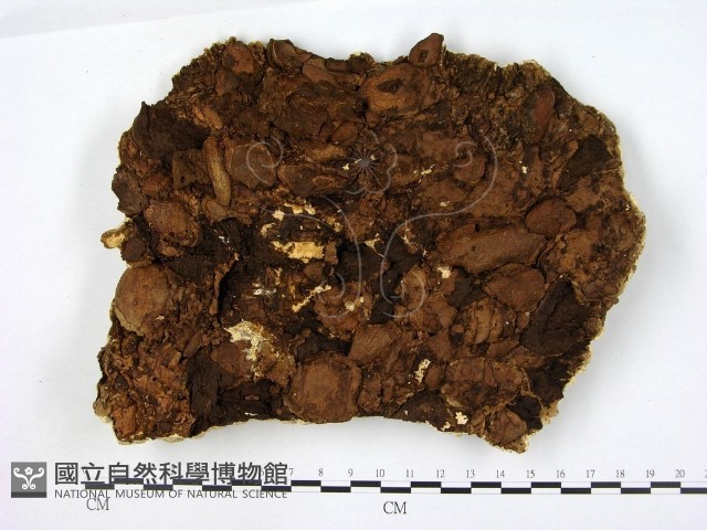 登錄號:F0008212藏品圖，第3張