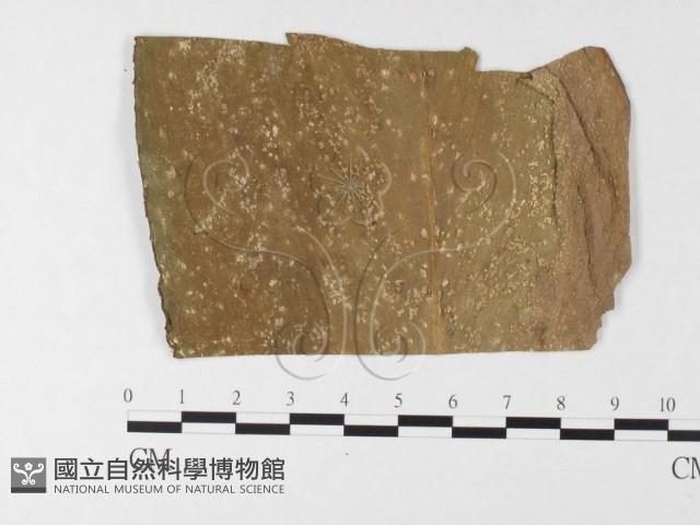 登錄號:F0026212藏品圖，第1張