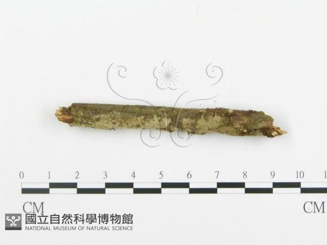 登錄號:F0001212藏品圖，第3張