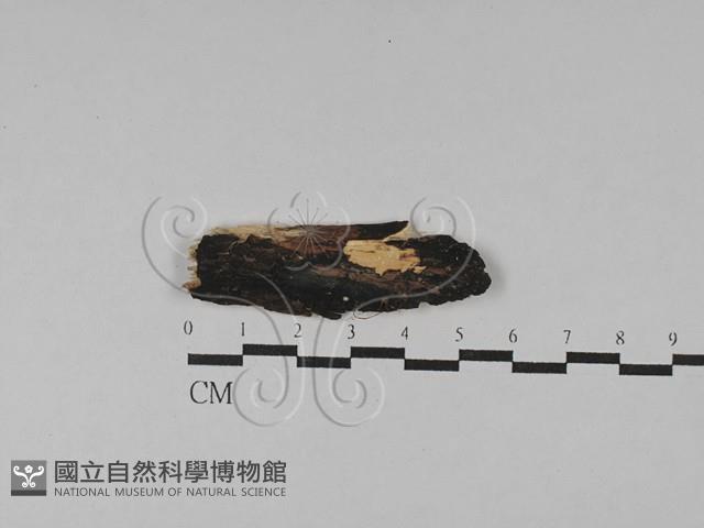登錄號:F0028812藏品圖，第1張