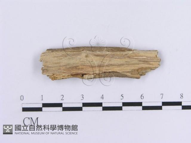 登錄號:F0017812藏品圖，第3張
