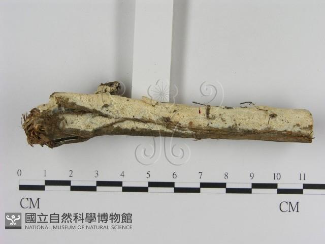 登錄號:F0020912藏品圖，第3張