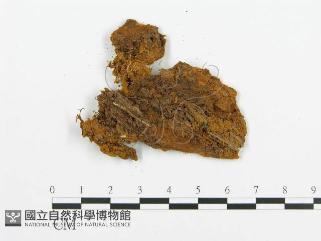 登錄號:F0000912藏品圖，第3張